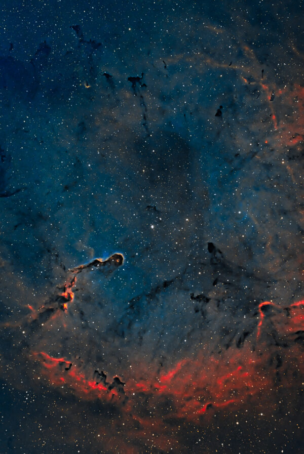 Elephant Trunk Nubula in Hubble Palette Colors