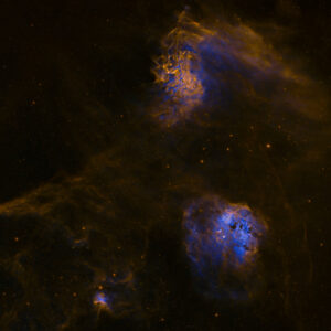 The Tadpole Spider and Fly Nebulae SHO No Stars