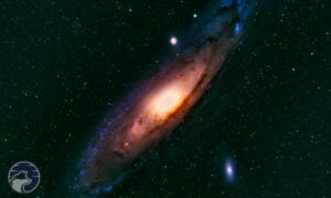 Andromeda: Our Cosmic Neighbor