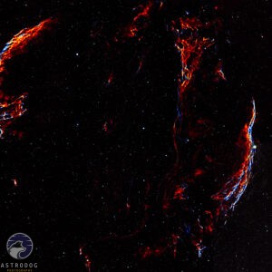 The Cygnus Loop RGB Stars